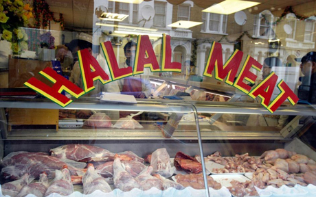 Halal, is it meat you're looking for?